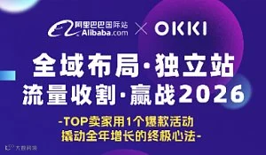 全域布局*独立站——流量收割*订单转化