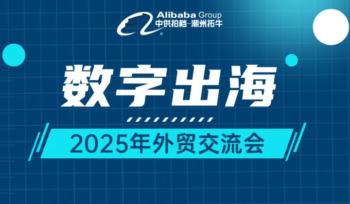 《数字出海 2025外贸交流会》