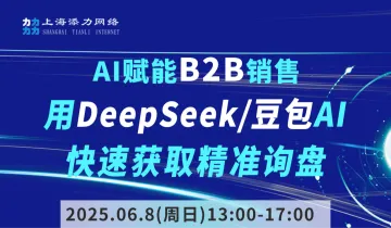 AI赋能B2B销售:用DeepSeek/豆包AI<em>快速</em>获取<em>精准</em>询盘