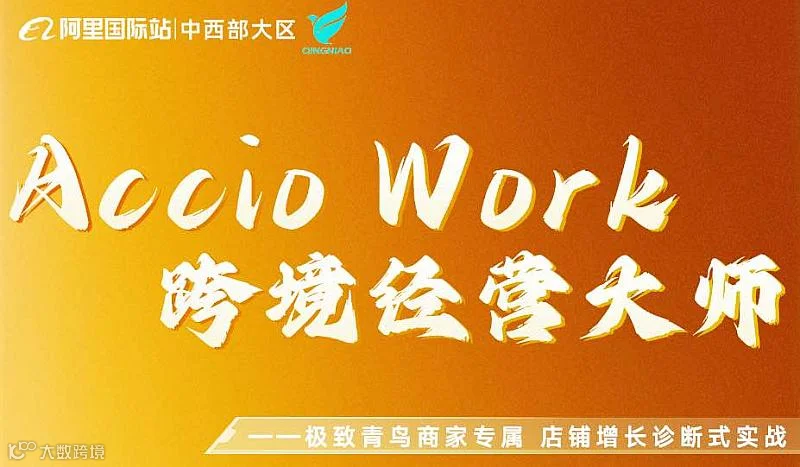 Accio Work 跨境营销大师