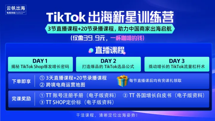 <em>TikTok</em>出海新星训练营