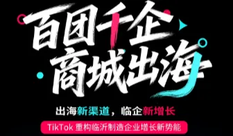 出海新渠道-临企新增长