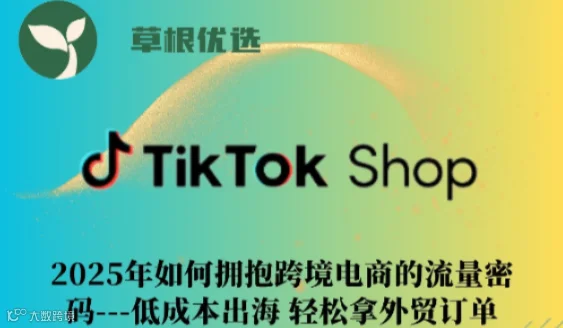 TIKTOK 2025年如何拥抱跨境电商的流量密码，低成本出海 轻松拿外贸订单