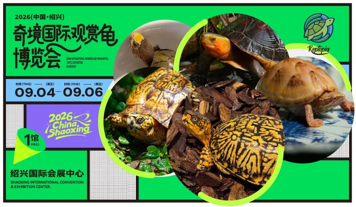 （<em>观众</em>预约）2026中国•绍兴 奇境国际观赏龟博览会