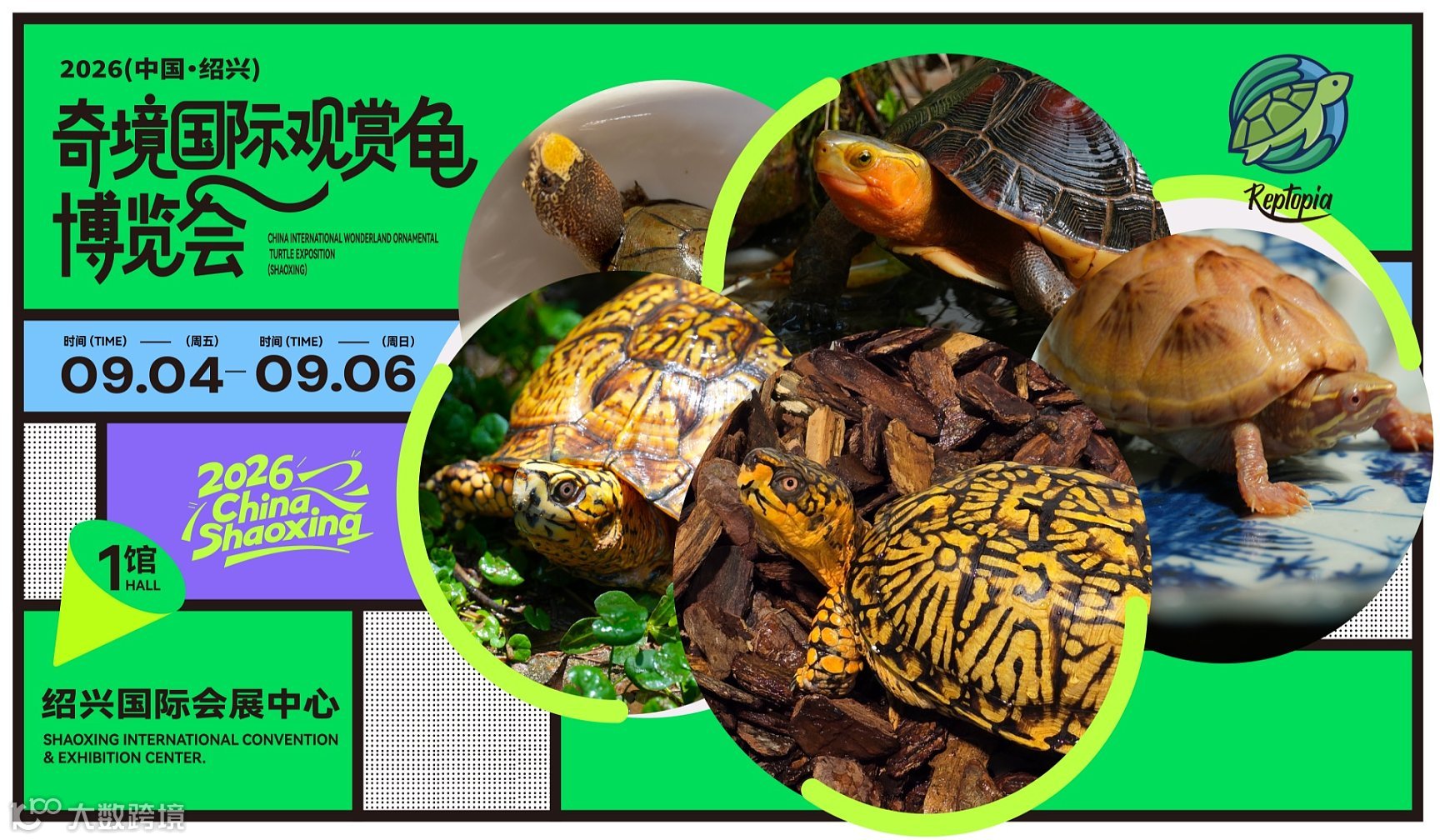（观众预约）2026中国•绍兴 奇境国际观赏龟博览会