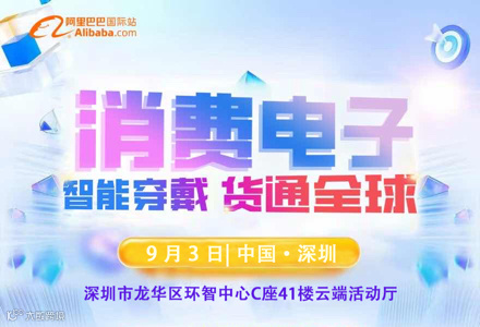 阿里巴巴消费电子 | 智能穿戴 | 货通全球