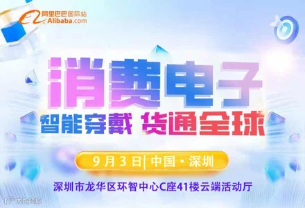 阿里巴巴消费电子 | 智能穿戴 | 货通全球