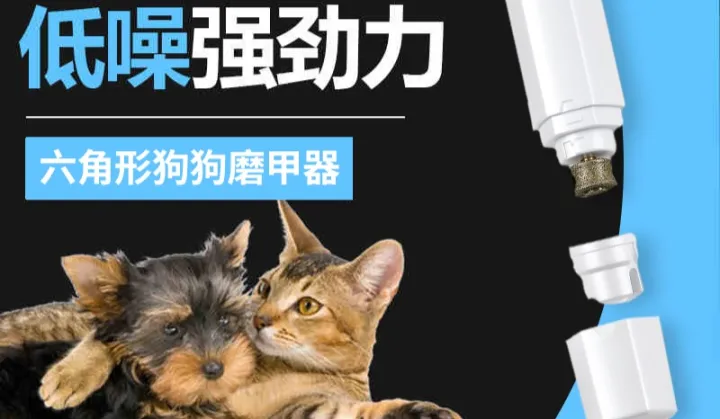 宠物用品-跨境电商-新品发布会