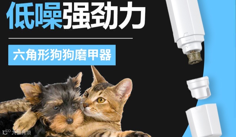 宠物用品-跨境电商-新品发布会