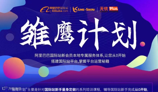 西区雏鹰第十三期