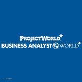 项目世界和业务分析师世界（PWBAW）