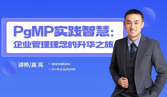 PgMP<em>实践</em>智慧：企业管理理念的升华之旅