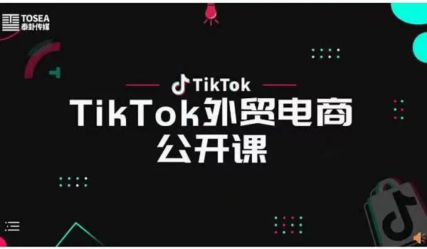 TikTok＋<em>Facebook</em>海外社媒外贸直播课