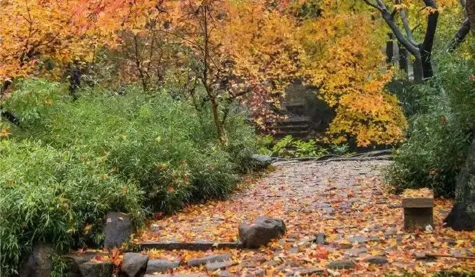 每周一山｜11月15日琅琊山七彩红叶谷