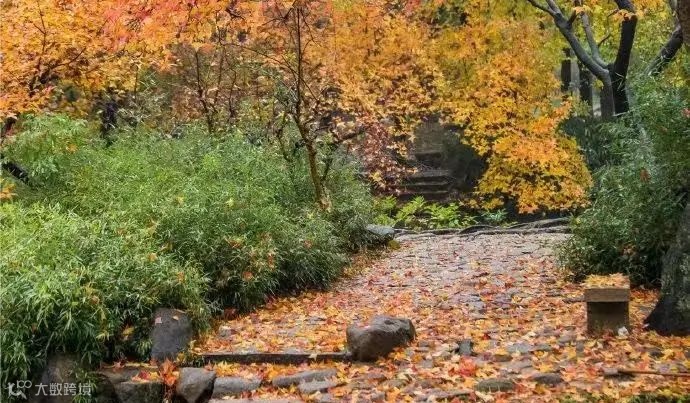 每周一山｜11月15日琅琊山七彩红叶谷