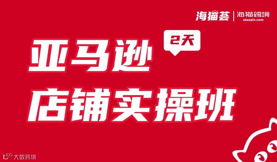 亚马逊店铺运营实操班