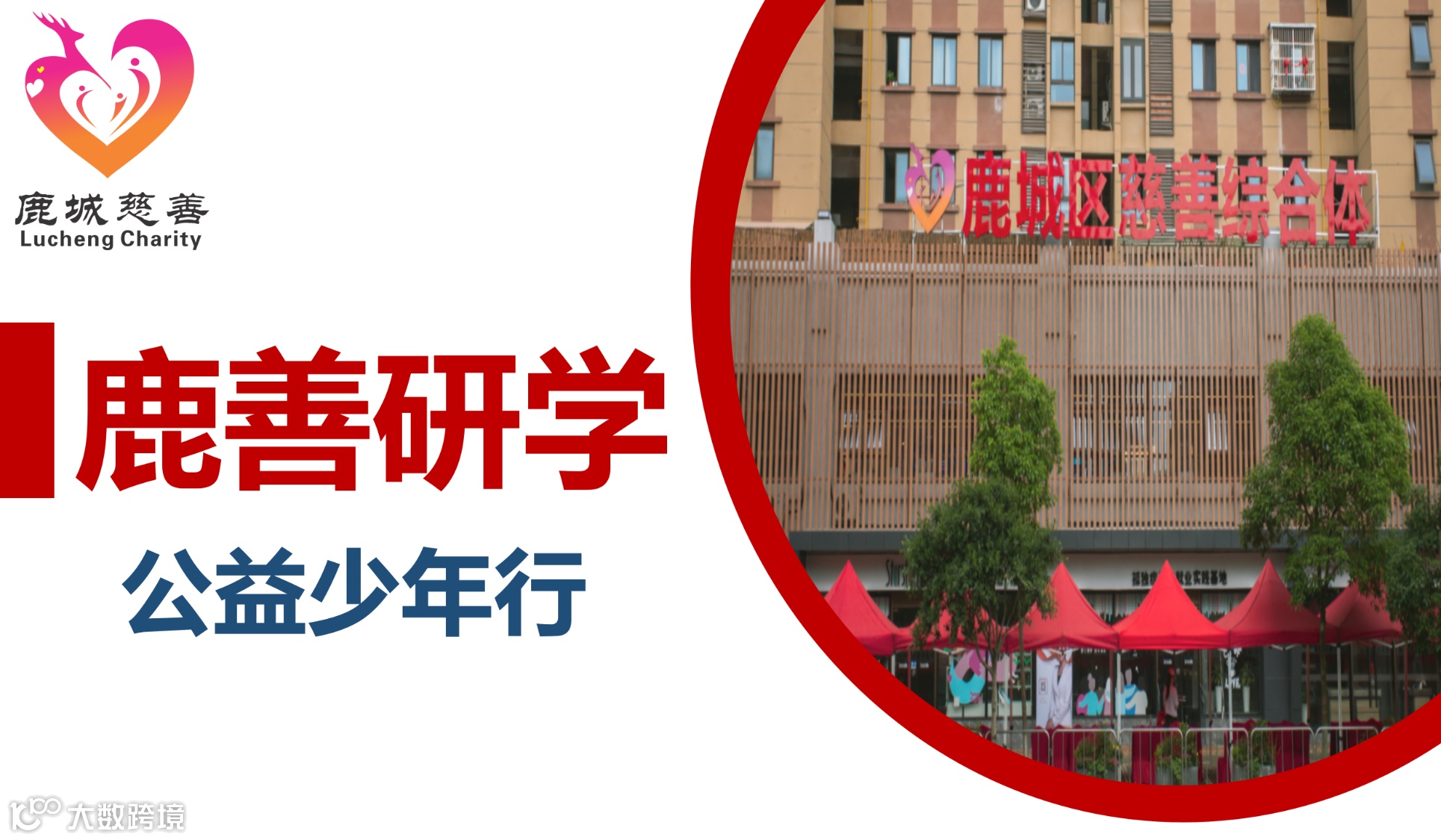 【鹿城区慈善综合体】11月鹿善研学活动招募