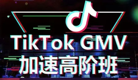 最新AI-Gemini ＆Tik Tok运营、视频、生图高阶打法，