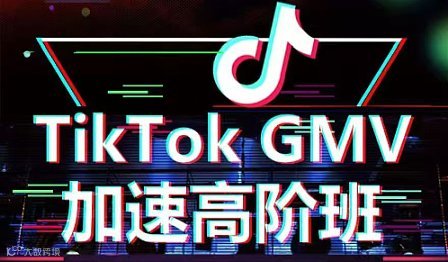 最新AI-Gemini ＆Tik Tok运营、视频、生图高阶打法，