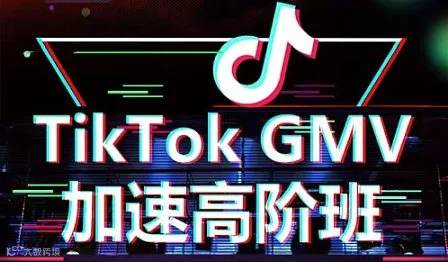 最新AI-Gemini ＆Tik Tok运营、视频、生图高阶打法，