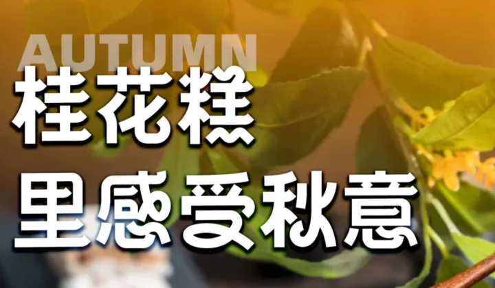 11月研学活动丨幼见桂花