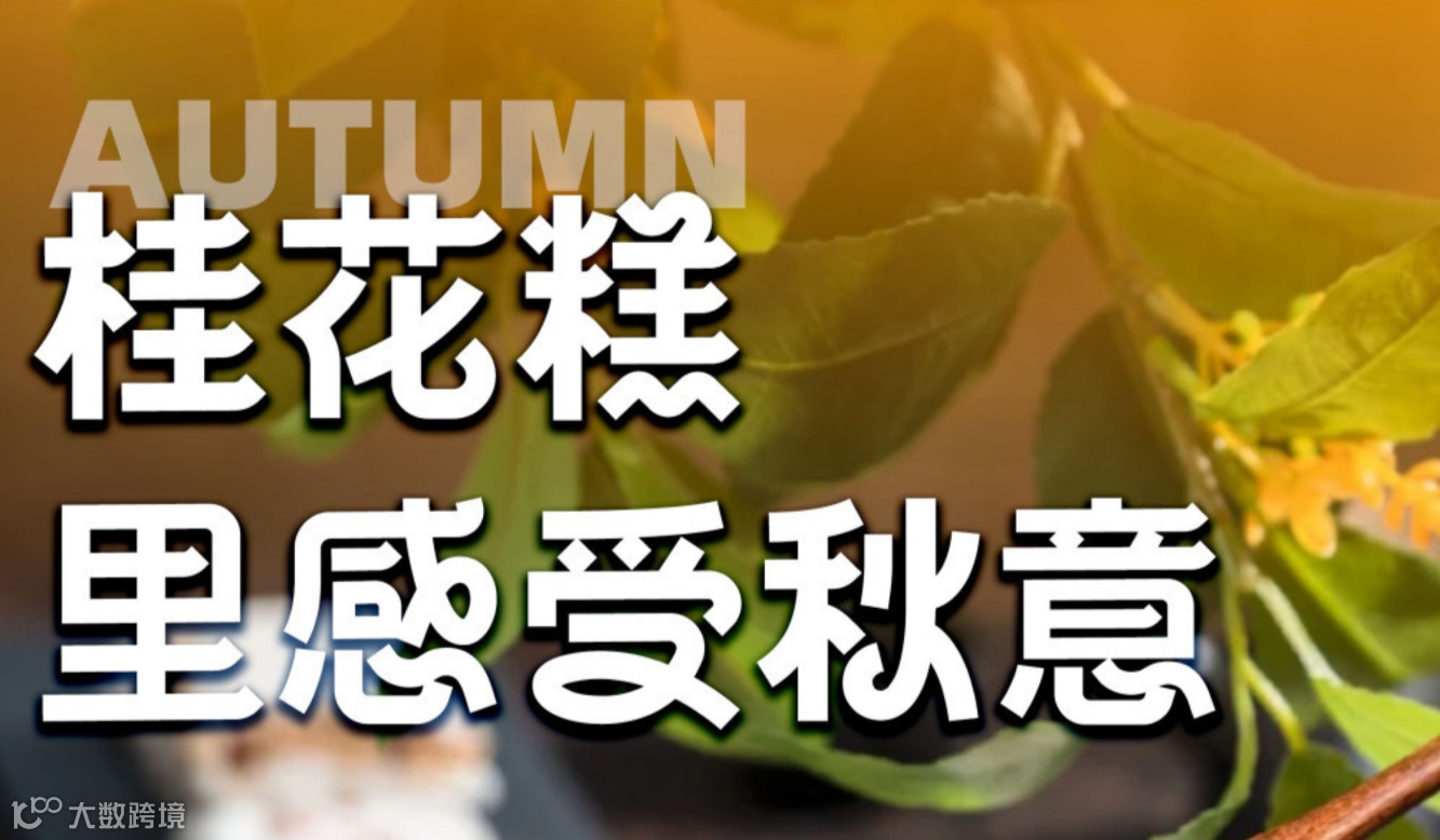 11月研学活动丨幼见桂花