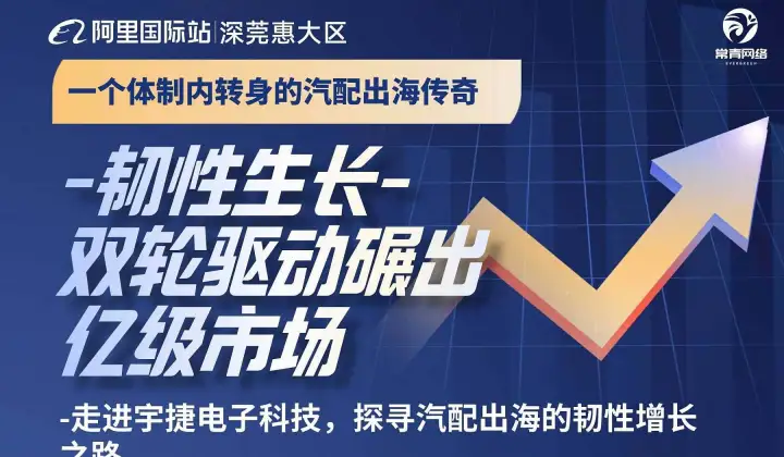 韧性生长-双轮驱动碾出亿级市场