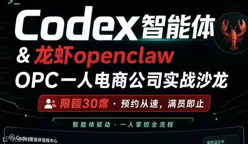 Codex智能体＆龙虾openclawOPC一人电商公司实战沙龙