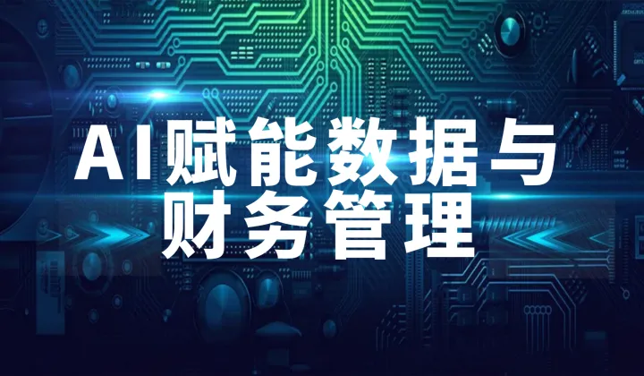 第175期 AI赋能数据与财务管理培训班