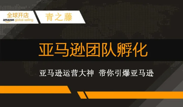 青之藤亚马逊<em>团队</em>孵化