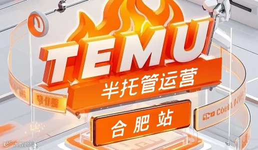 合肥站-TEMU半托管运营广告投流沙龙