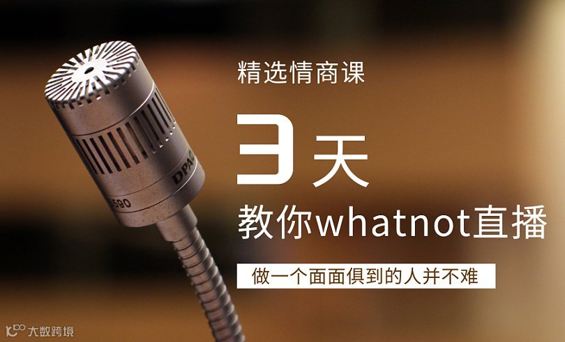 whatnot3天必出单