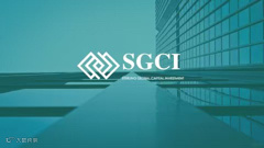 中资企业境外上市专题