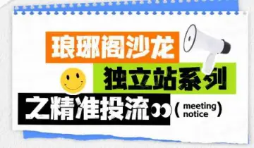 独立站系列之精准投流