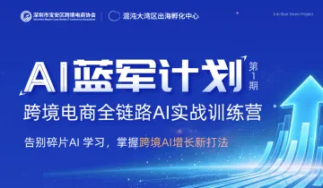 AI蓝军计划 第1期-跨境电商全链路AI实战训练营