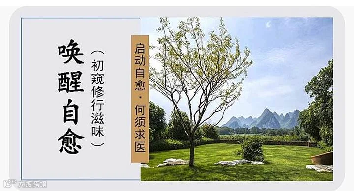相约下午茶养生主题活动