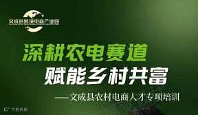 深耕农电赛道赋能乡村共富