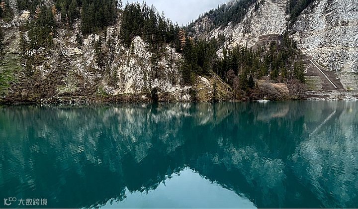 《全脑教养法》开读仪式