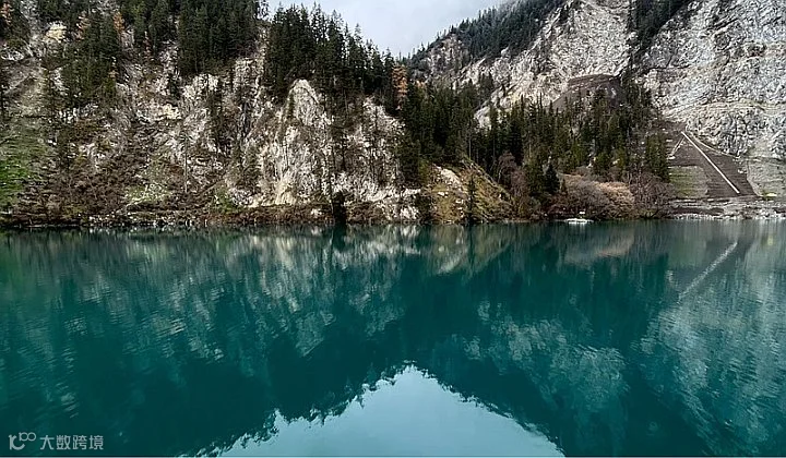 《全脑教养法》开读仪式