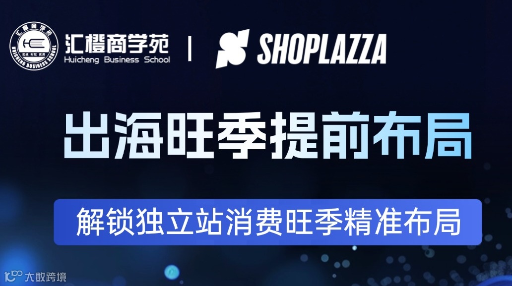 2025下半年-解锁独立站消费旺季精准布局