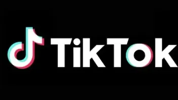 助力商家<em>快速</em>搭建TikTok广告账户