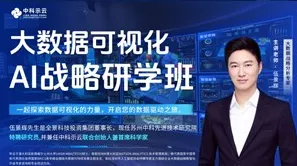 大<em>数据</em>可视化AI战略<em>分析</em>研学班