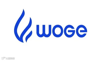 2025年上海国际低空经济与无人机展览会 UJCE