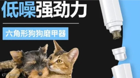 宠物用品-跨境电商-新品发布会