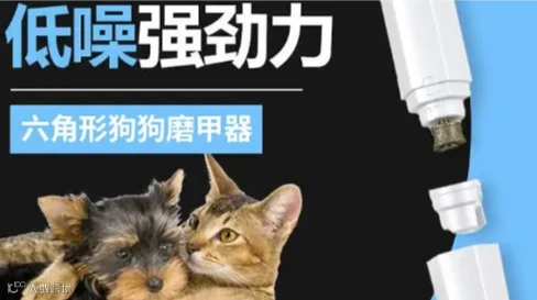 宠物用品-跨境电商-新品发布会