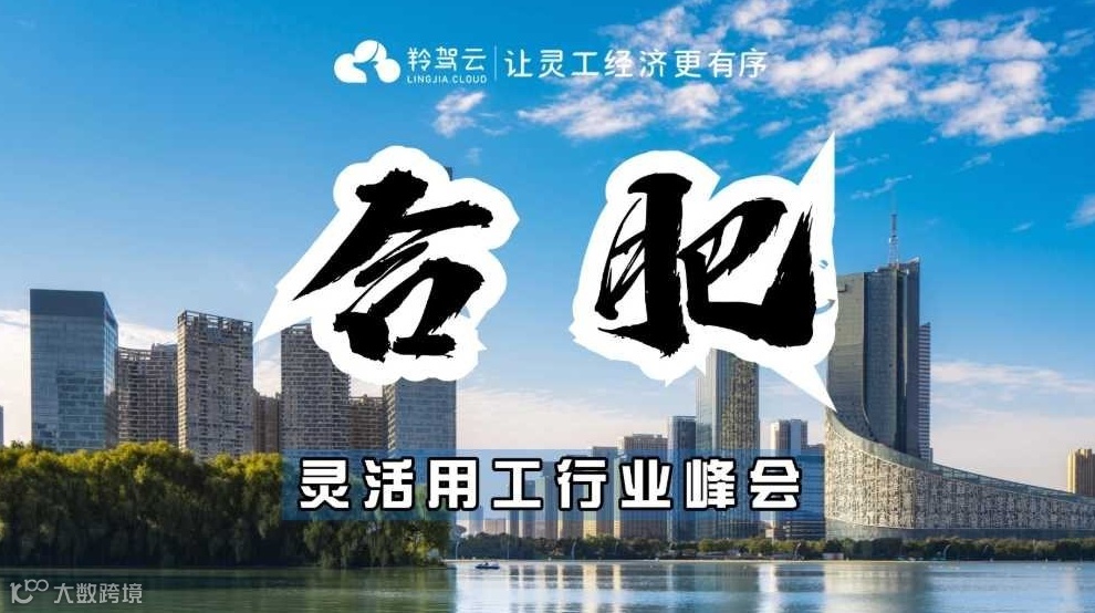 【6月20日】金税四期风口/人资企服财税/灵活用工行业峰会/合肥