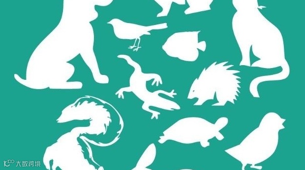 2025第6届（杭州）华东宠物展暨中国宠业电商交易会