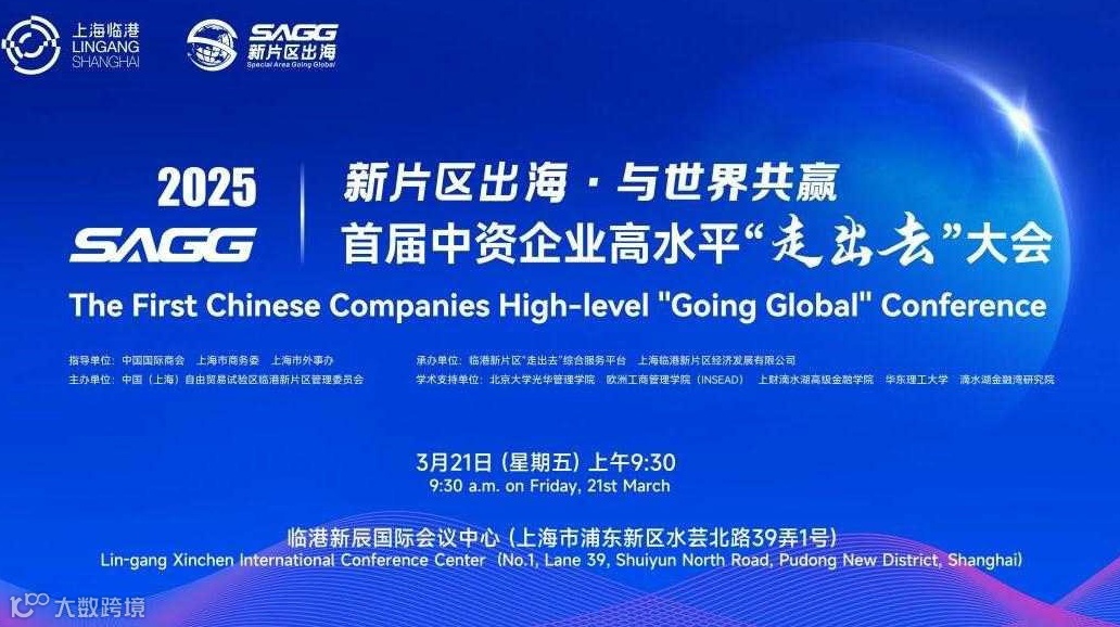 新片区出海·与世界共赢——首届中资企业高水平“走出去”大会