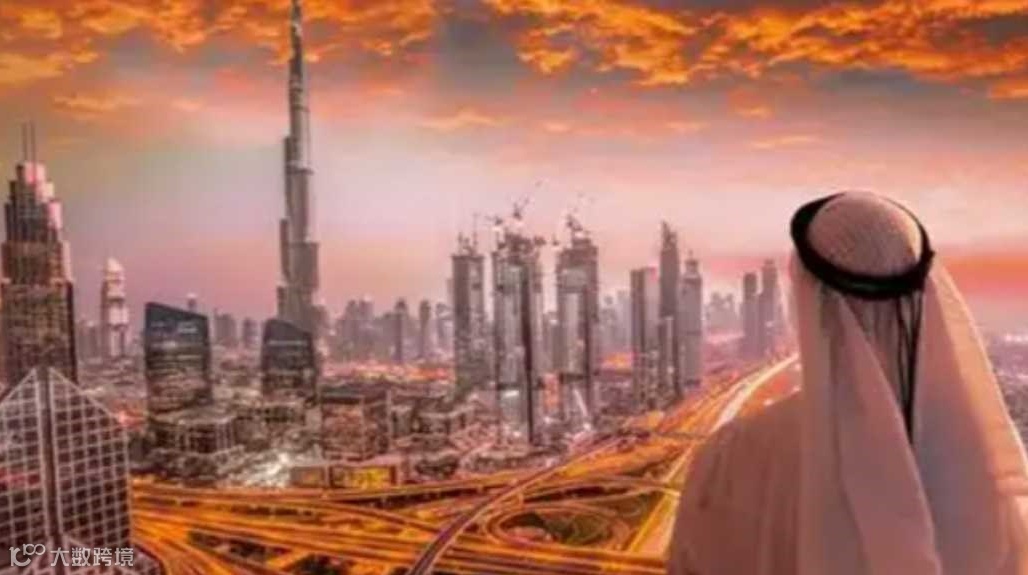 中沙科技文化交流暨出海服务合作论坛