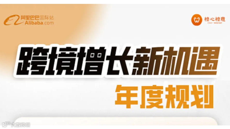 跨境增长新机遇-年度规划